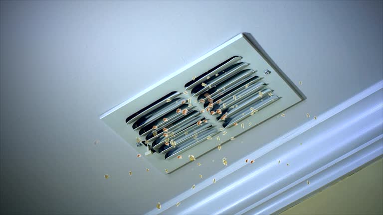 Best Ductwork Cleaning Services  in St James City, FL